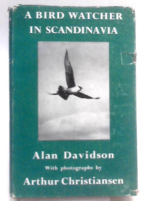 A Bird Watcher In Scandinavia
