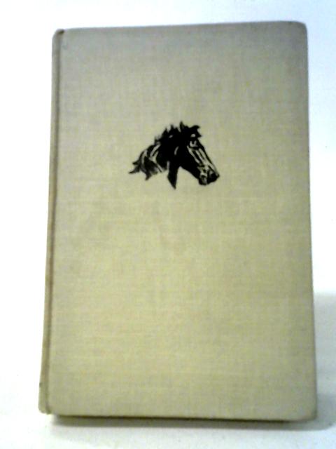 The Black Stallion & Flame