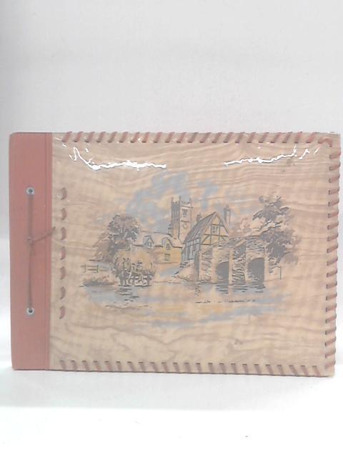 Vintage 1950s Album of Holiday Photographs