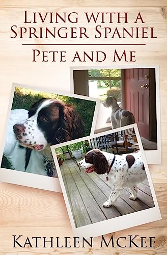 Living with a Springer Spaniel