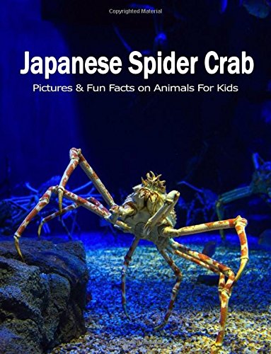 Japanese Spider Crab: Pictures and Fun Facts on Animals for Kids (Amazing Creature Series)