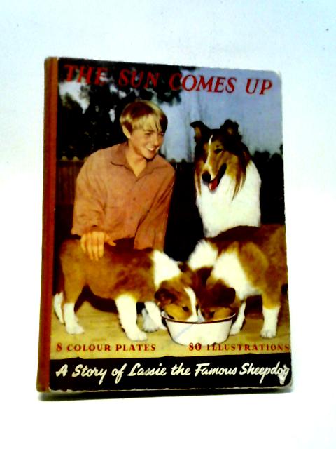 The Sun Comes Up A Story Of Lassie The Famous Sheepdog