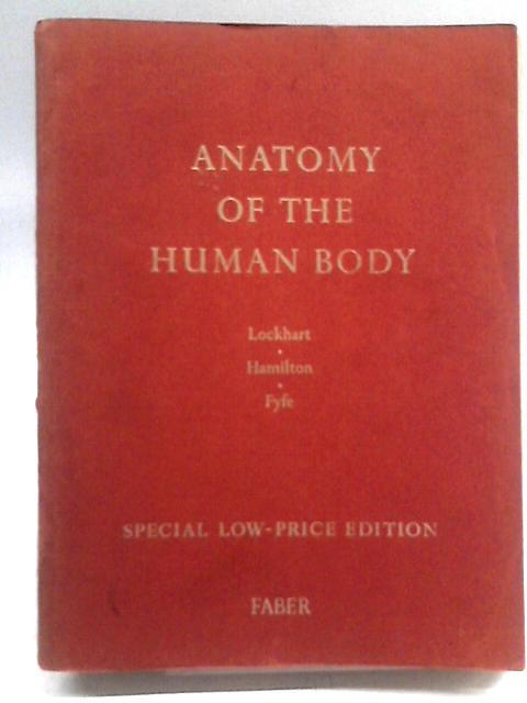 Anatomy of Human Body