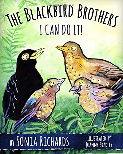 The Blackbird Brothers - I Can Do It