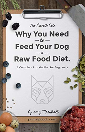 Why You NEED to Feed Your Dog a Raw Food Diet