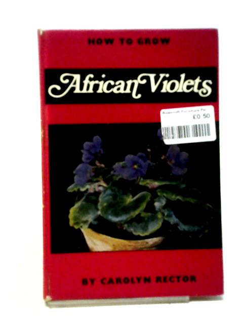 How To Grow African Violets