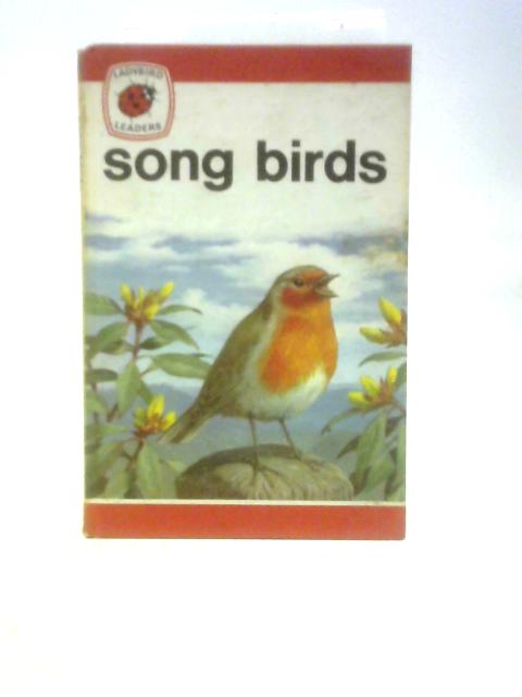 Song Birds