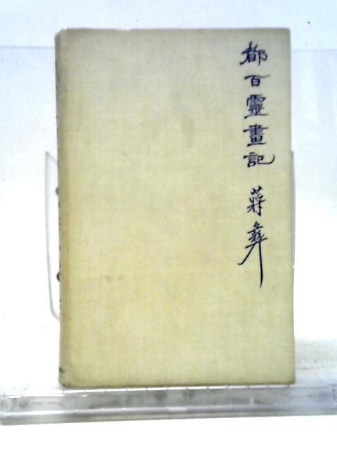 The Silent Traveller in Dublin