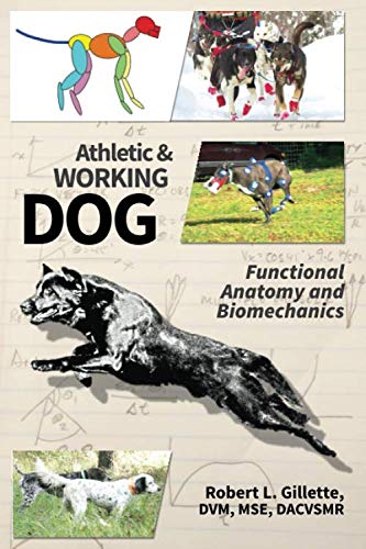 Athletic and Working Dog: Functional Anatomy and Biomechanics