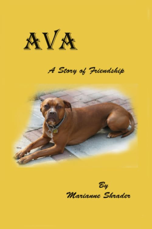 AVA: A Story of Friendship