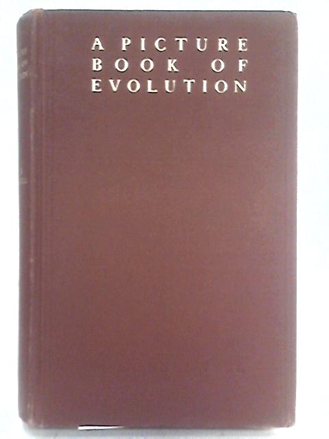 A Picture Book Of Evolution Adapted From The Work Of The Late Dennis Hird