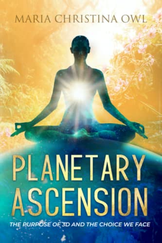 Planetary Ascension: The Purpose of 3D and the Choice We Face