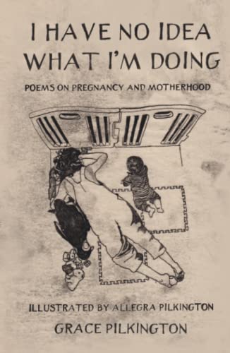 I Have No Idea What I'm Doing