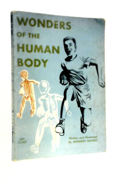 Wonders Of The Human Body