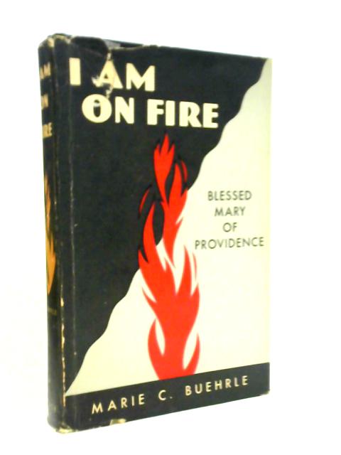 I Am On Fire: Blessed Mary Of Providence, Foundress Of The Helpers Of The Holy Souls, 1825-1871