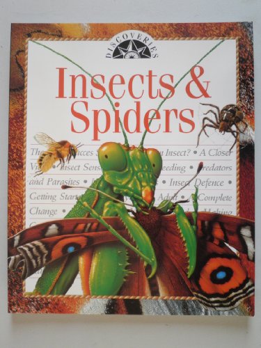 Insects and Spiders