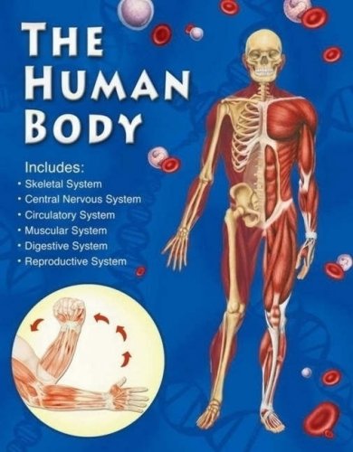 The Human Body