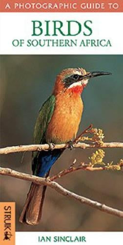 Photographic Guide Birds of Southern Africa