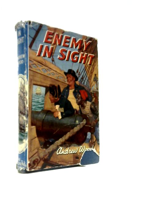 Enemy in Sight
