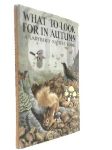 What to Look for in Autumn