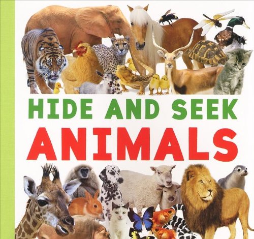 Hide and Seek Animals