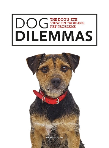 Dog Dilemmas