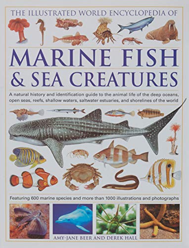 Illustrated World Encyclopedia Of Marine Fish And Sea Creatures Hardcover Hardcover Hardcover Hardcover Hardcover Hardcover Hardcover Hardcover Hardcover Hardcover Hardcover Hardcover Hardcover Hardco
