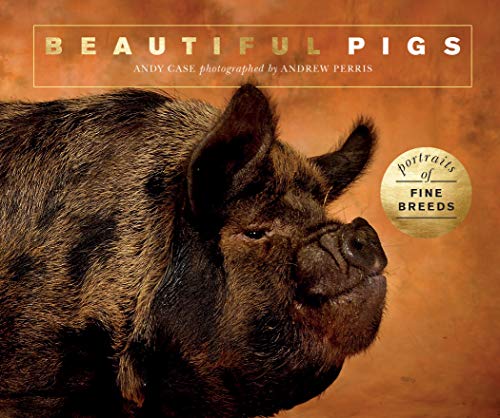 Beautiful Pigs