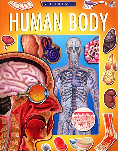 Sticker Facts: Human Body