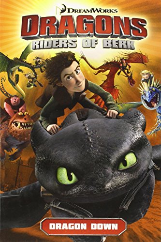 Dragons Riders of Berk: Dragon Down