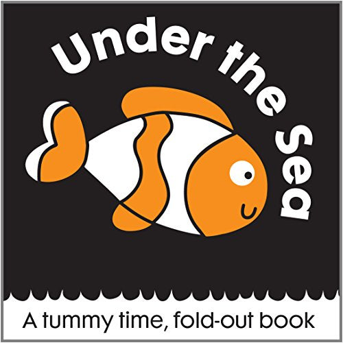 First Focus Animals Under the Sea