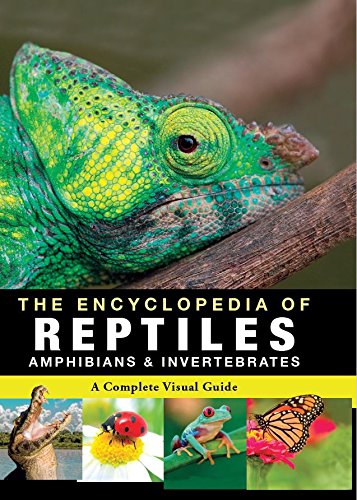 Encyclopedia of Animals - Reptiles