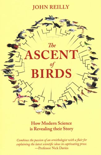 The Ascent of Birds