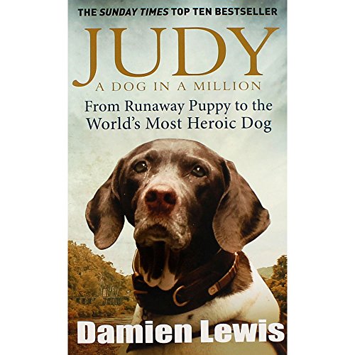 Judy - A Dog In A Million