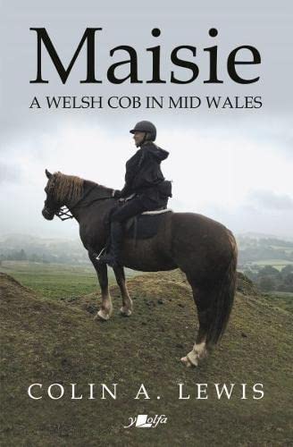 Maisie - A Welsh Cob in Mid Wales