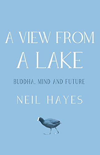 A View From A Lake