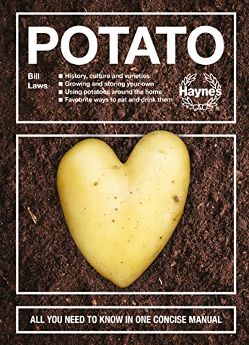Potato
