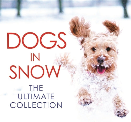 Dogs in Snow - the Ultimate Collection