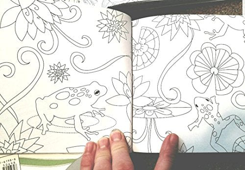 Calming Nature, Delightful Mini Coloring to Help You Find Peace