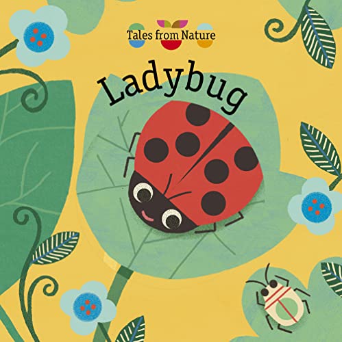 Ladybug