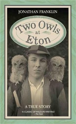 Two Owls at Eton - A True Story