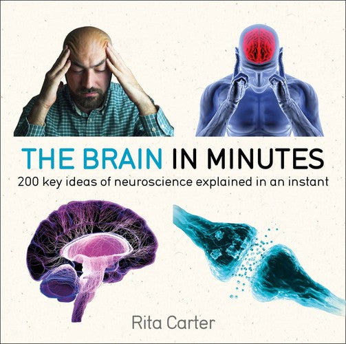 The The Brain in Minutes