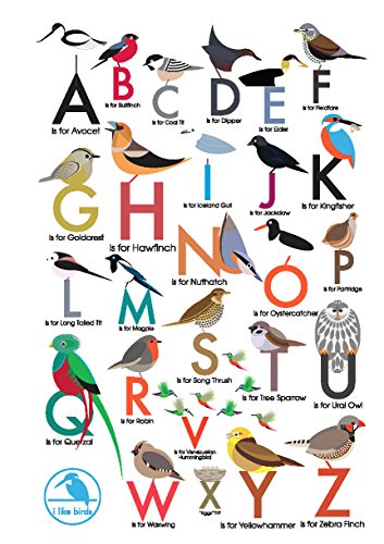 I Like Birds: An Alphabet of Birds Address Book