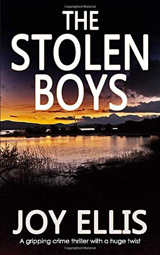 THE STOLEN BOYS a gripping crime thriller with a huge twist (Jackman and Evans detective mysteries)