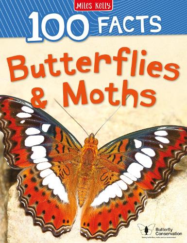 Butterflies & Moths