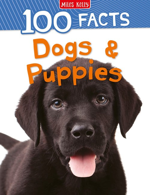 Dogs & Puppies