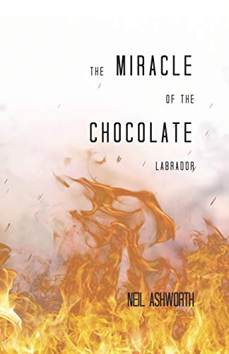 The Miracle of The Chocolate Labrador