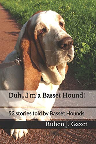 Duh... I'm a Basset Hound!
