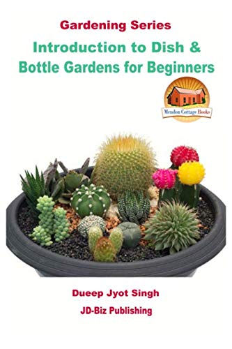 Introduction to Dish and Bottle Gardens for Beginners