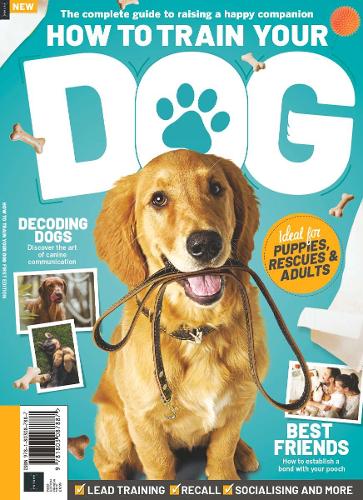 How to Train Your Dog - Ultimate Guide to looking after your pet, New tips and tricks to help you bond with your best friend